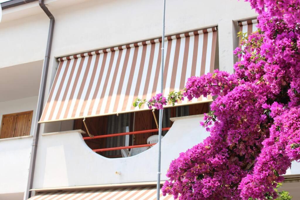 Roma A Un Passo E Il Mare In Casa Marina di Cerveteri Exterior foto