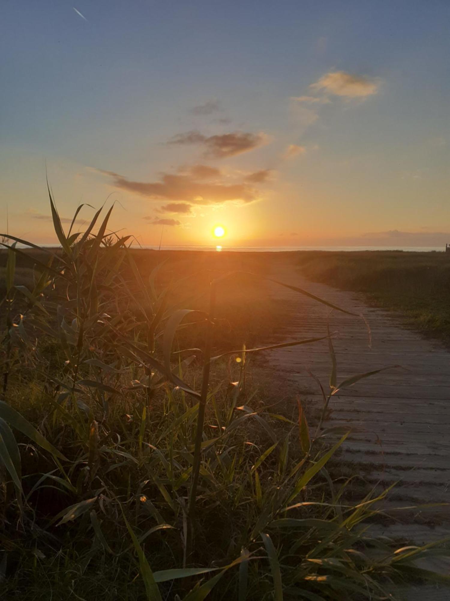 Roma A Un Passo E Il Mare In Casa Marina di Cerveteri Exterior foto